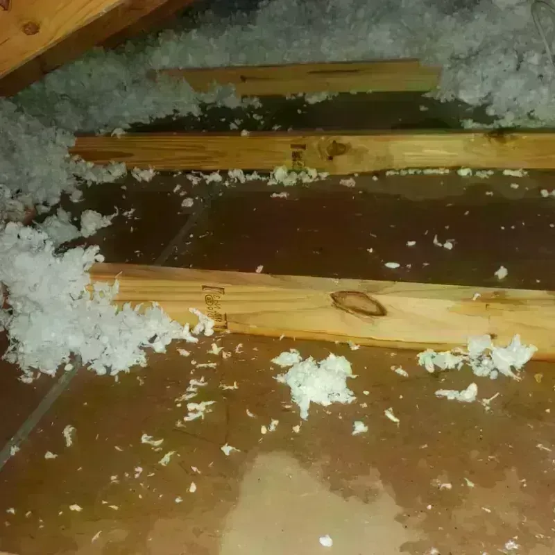 Attic Water Damage in Lakewood, CO