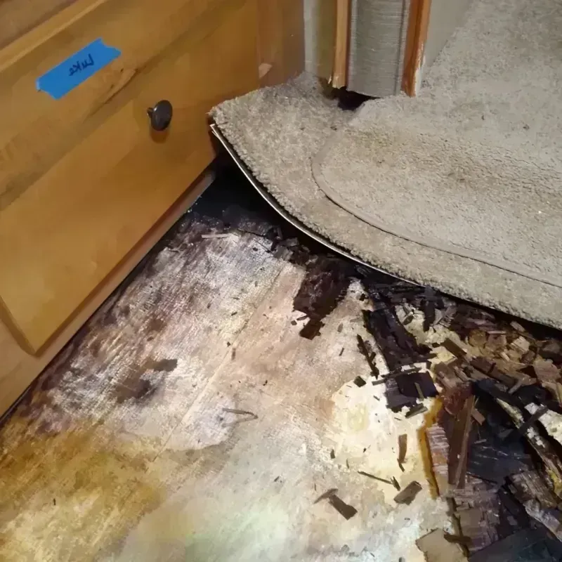 Best Wood Floor Water Damage Service in Lakewood, CO